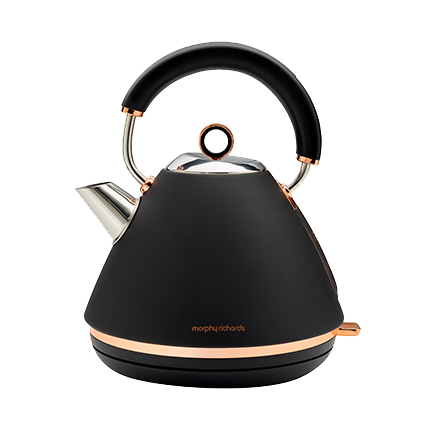 Morphy richards shop electric kettle